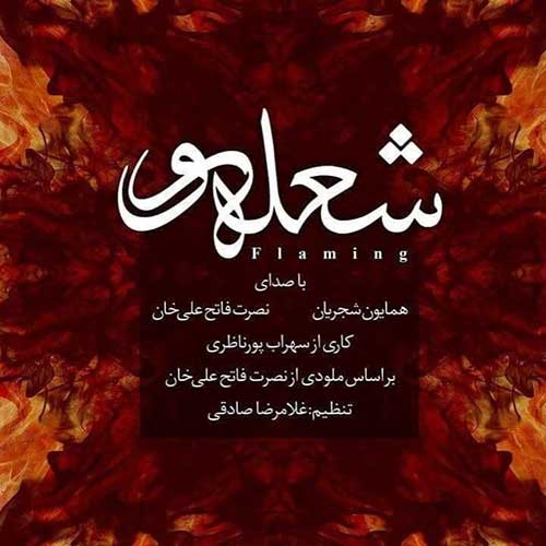 Homayoun-Shajarian-Flaming